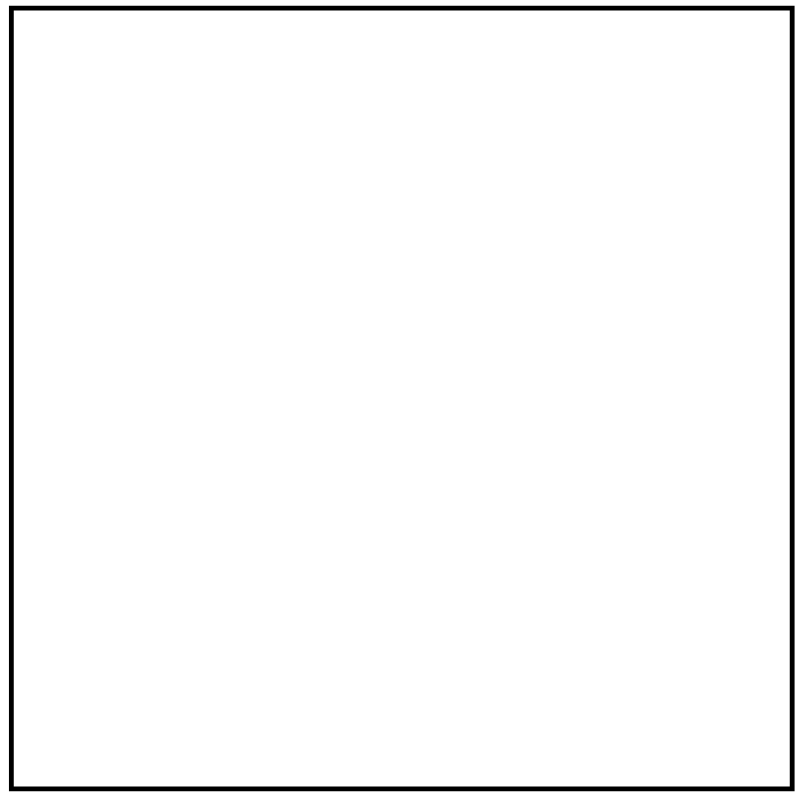 White product color